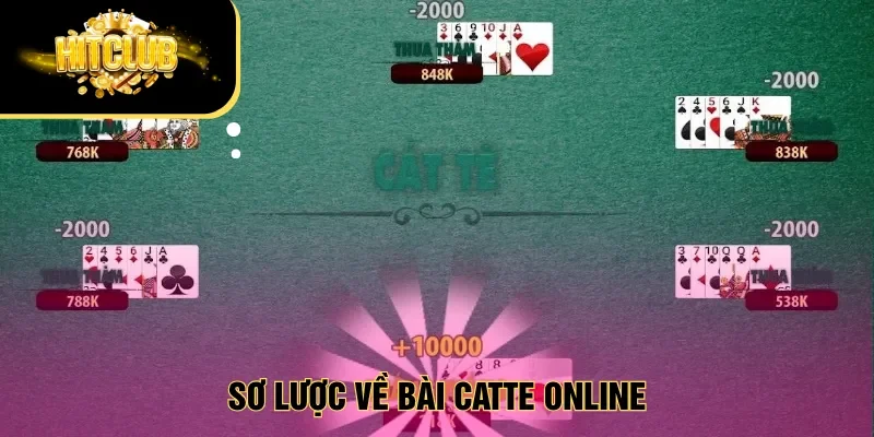 Sơ lược về bài Catte online